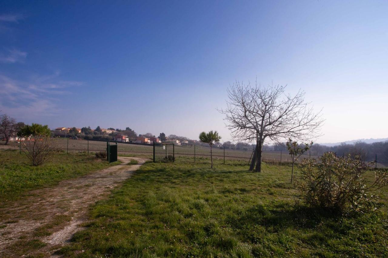 S210 - Sirolo, Nuovissimo Bilocale Vista Mare Al Primo Piano Διαμέρισμα Εξωτερικό φωτογραφία